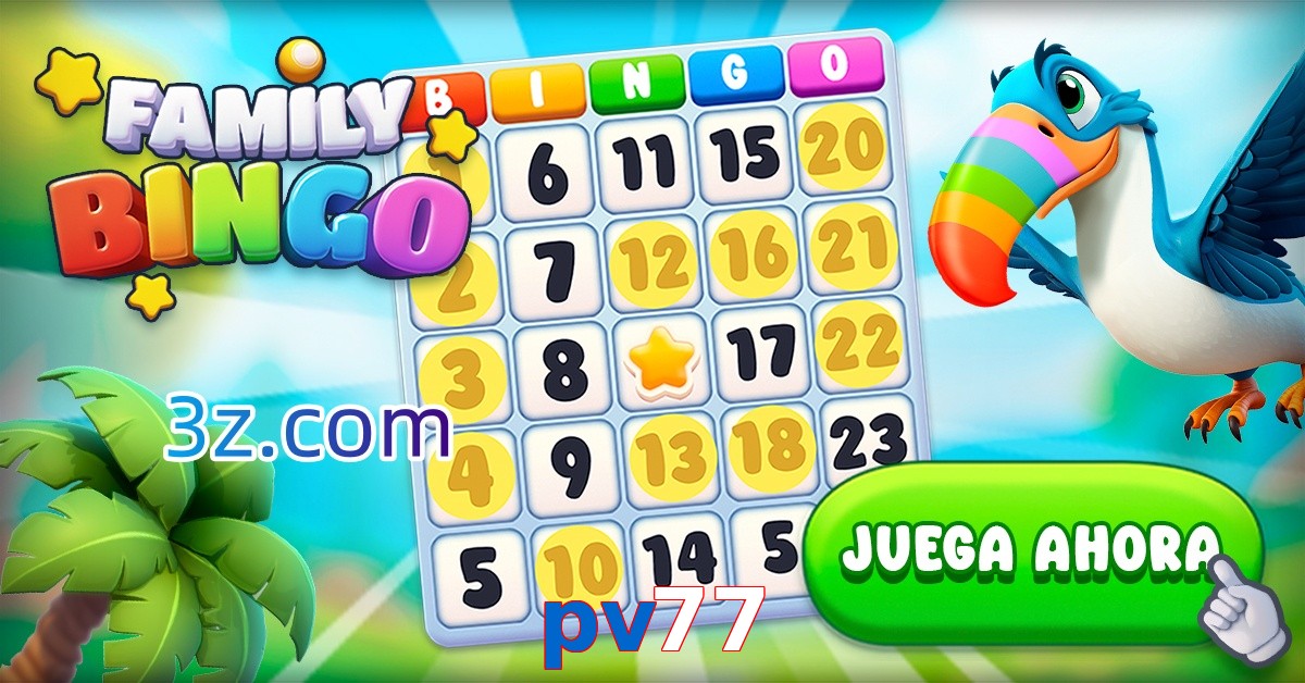 pv77 cassino com transmissão ao vivo e croupier dedicado
